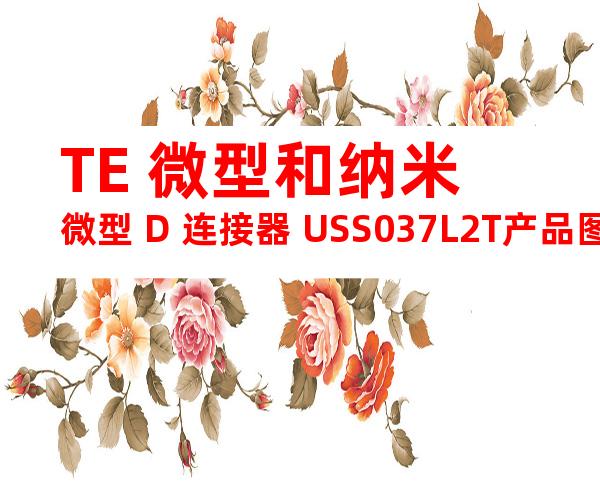 TE 微型和纳米微型 D 连接器 USS037L2T产品图纸